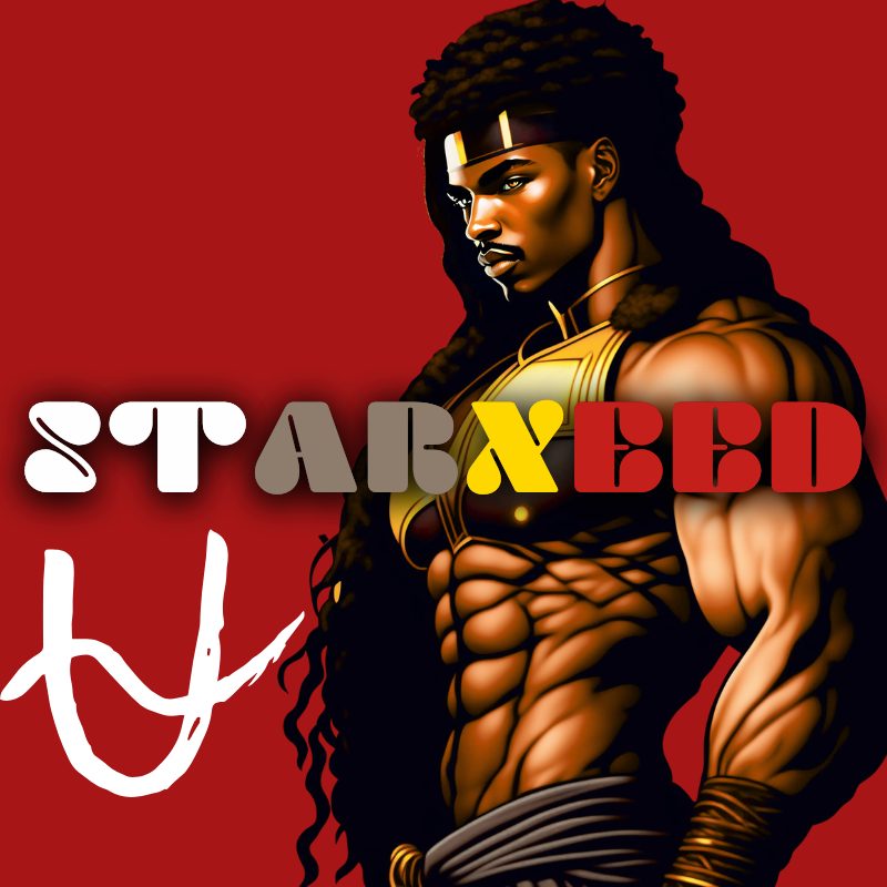 STARXEED Magazine